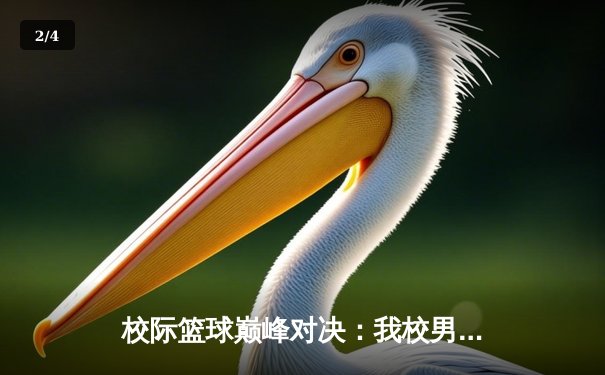 校际篮球巅峰对决：我校男篮加时鏖战力克强敌，挺进全国八强 - 2